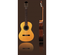 ALTAMIRA N200 İspanyol Klasik Gitar